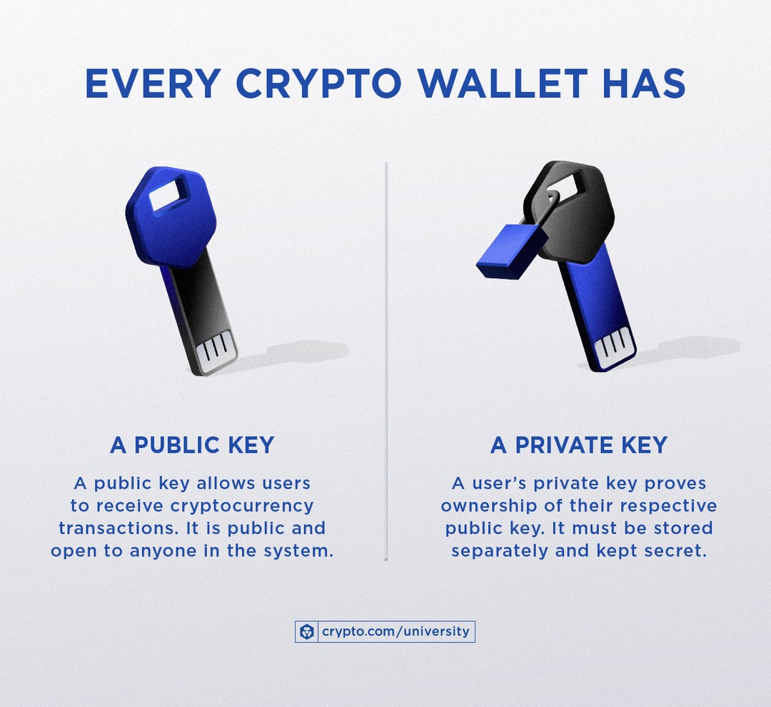 What Is A Crypto Wallet A Beginners Guide