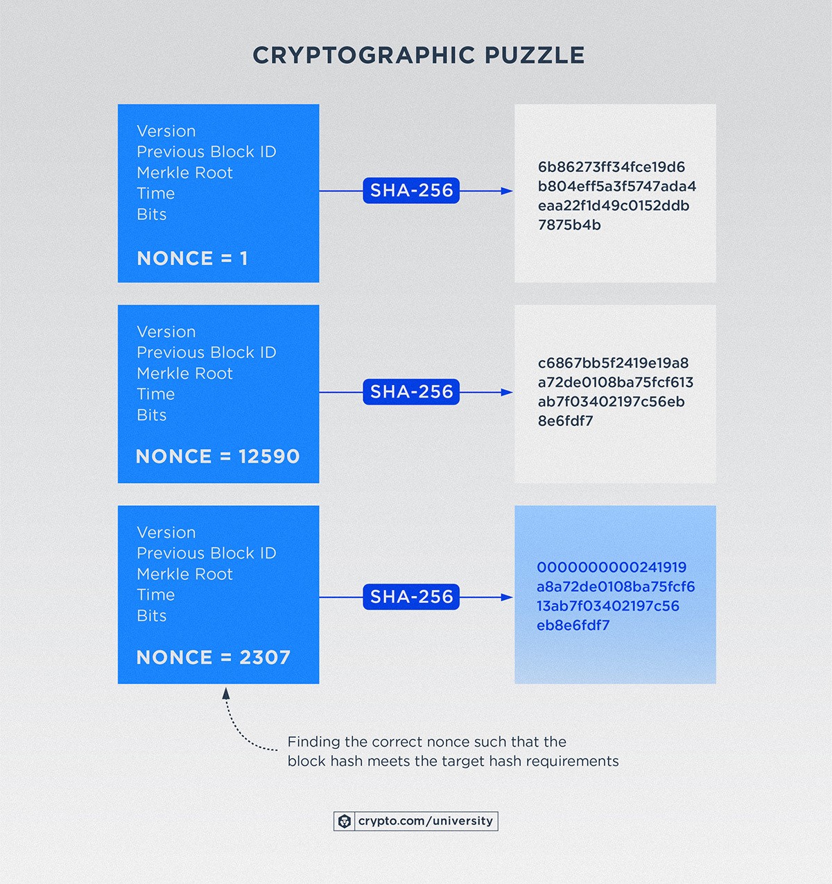 Cryptographic Puzzle May17