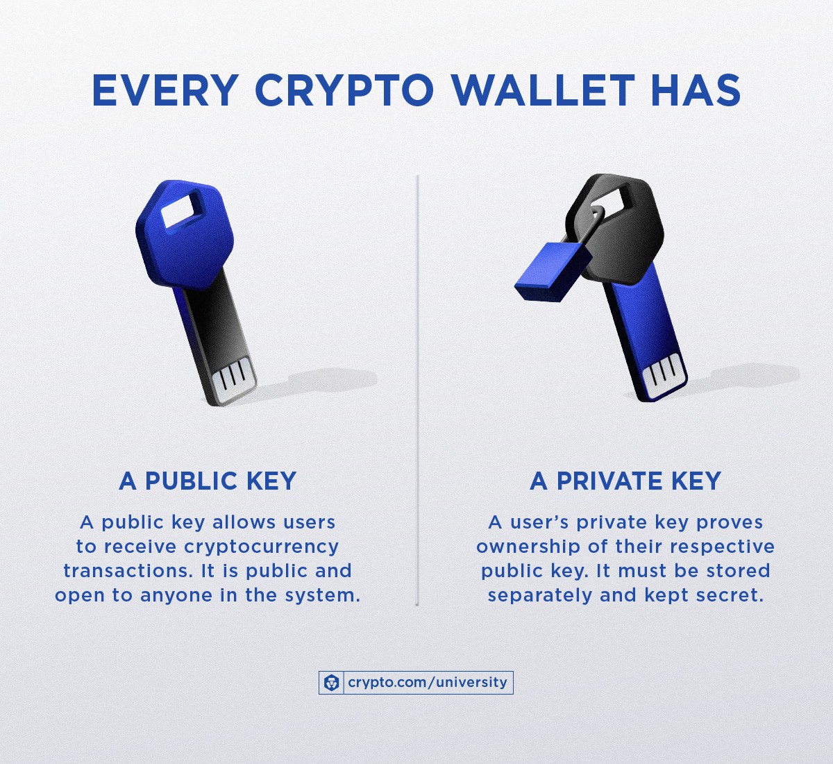 wallet crypto meaning