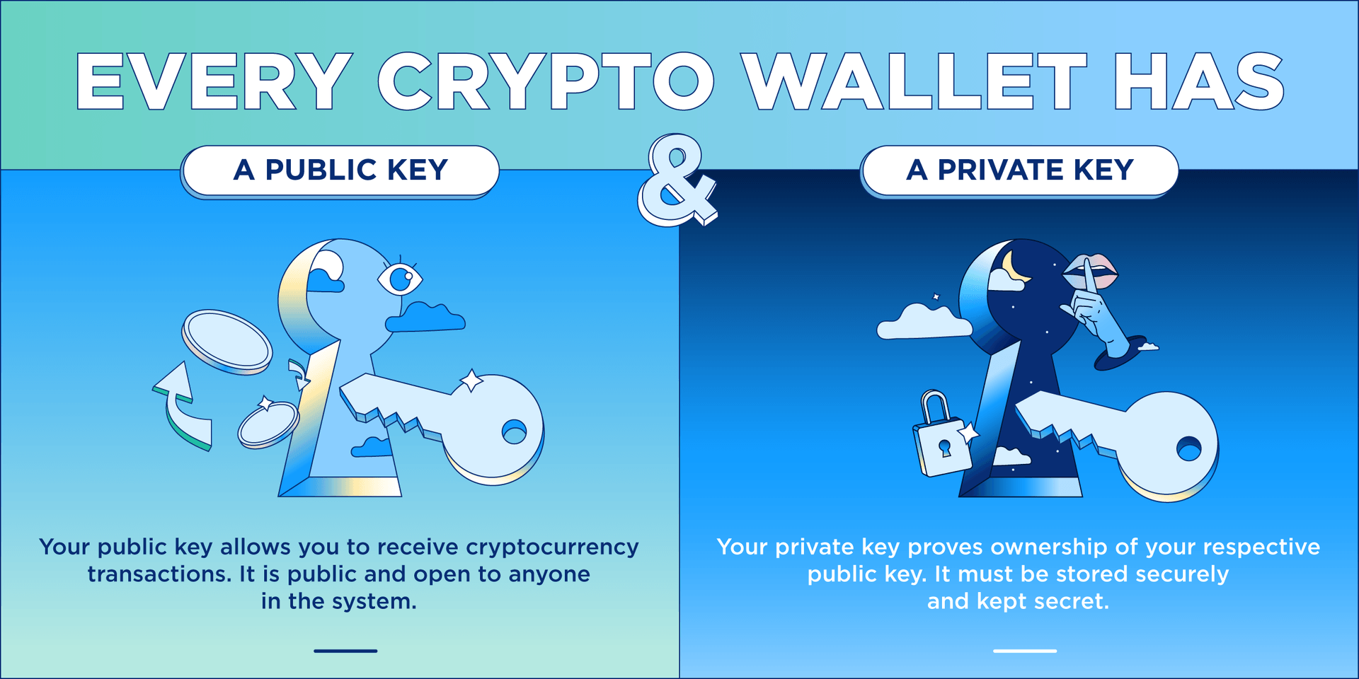 Crypto Wallet public and private keys