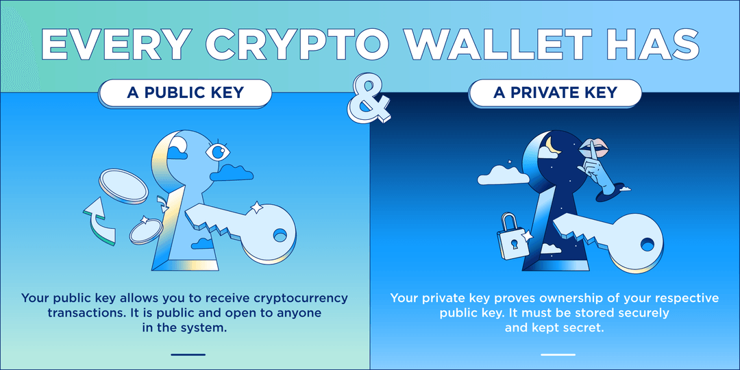 What Is a Crypto Wallet? A Beginner’s Guide