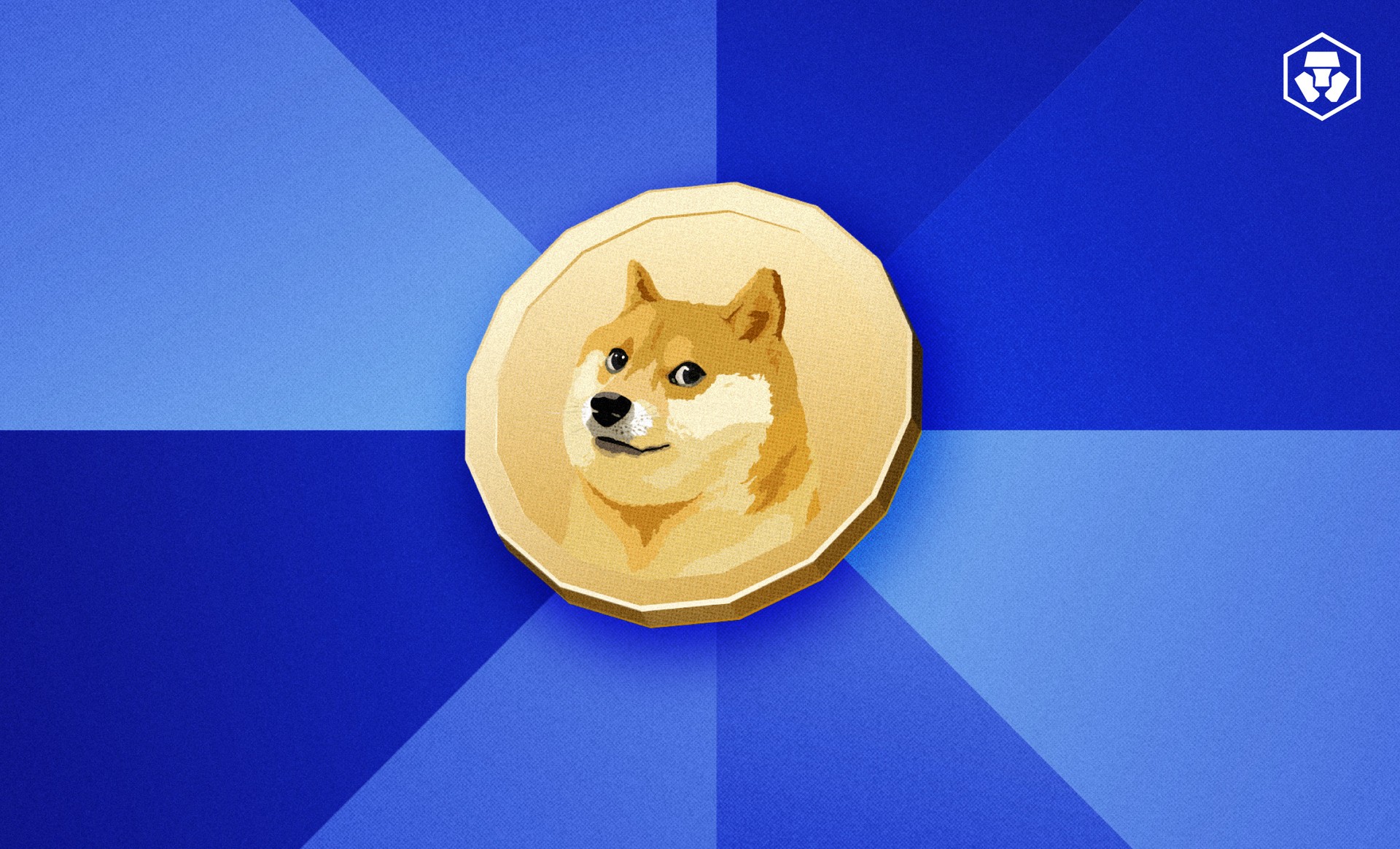 What Is Dogecoin Otp