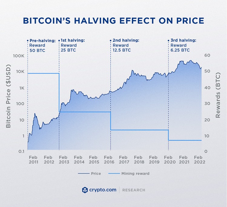 Research Bitcoin Halving Effect On Price Infographic