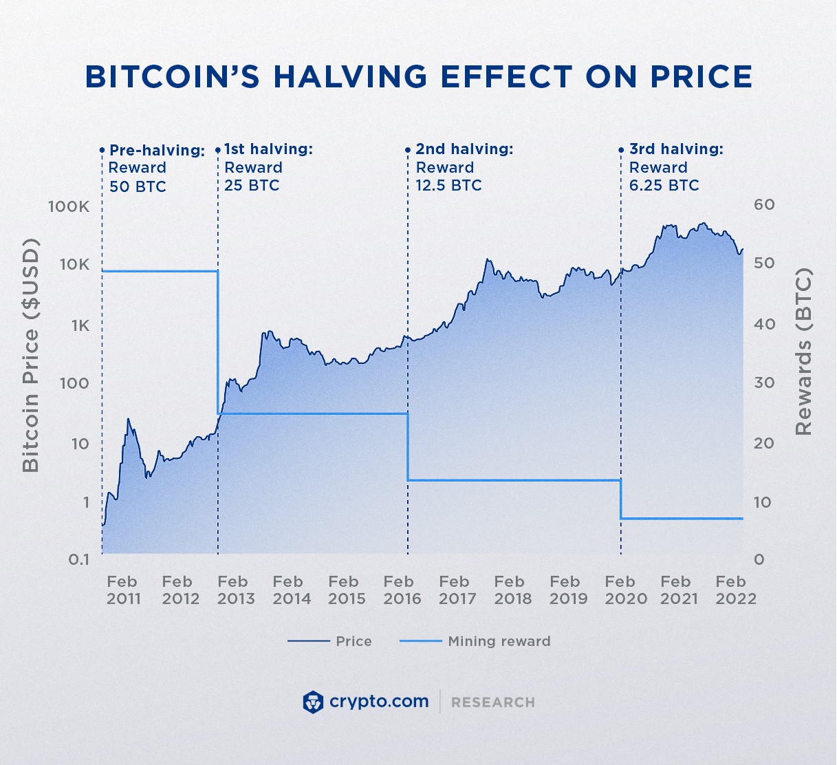 Research Bitcoin Halving Effect On Price Infographic