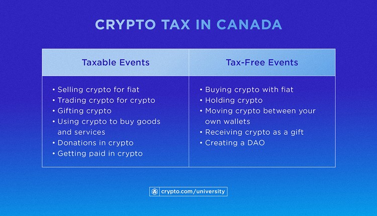 Starter Guide To Crypto Tax And Who Needs To Pay It