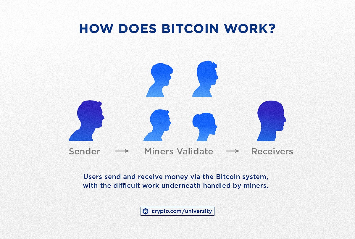 What Is Btc Infographic F