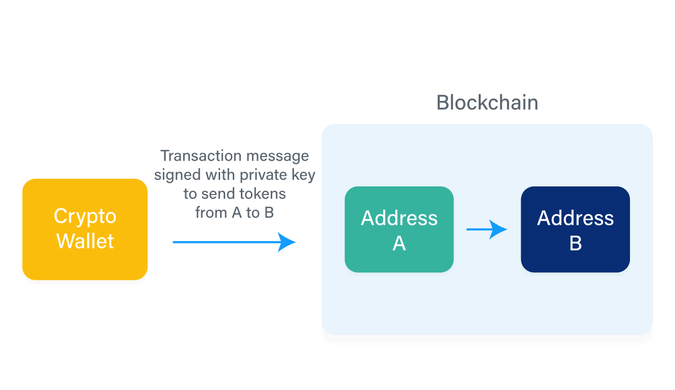 What is a Crypto Wallet? A Beginner’s Guide