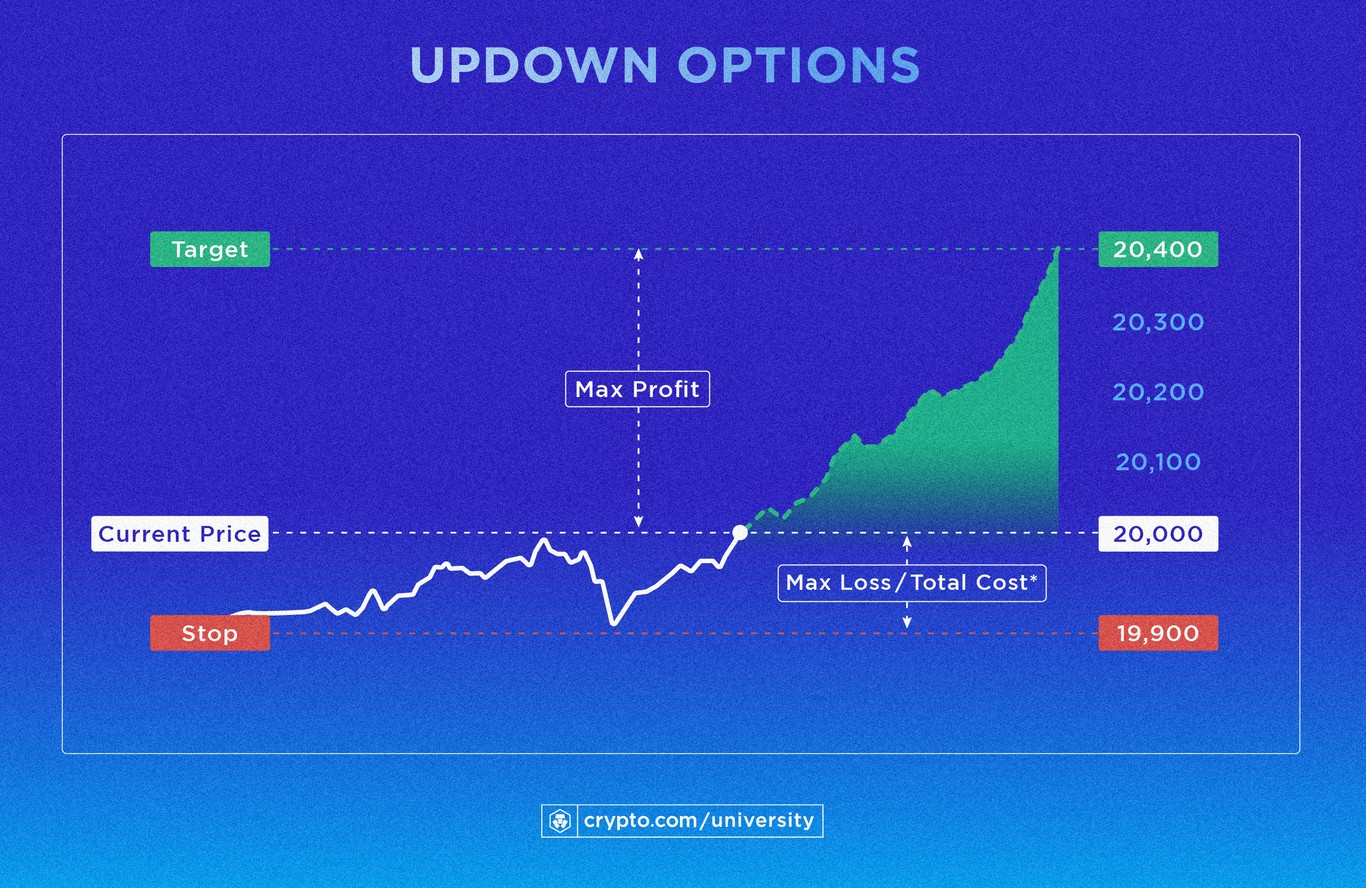 What Are UpDown Options?