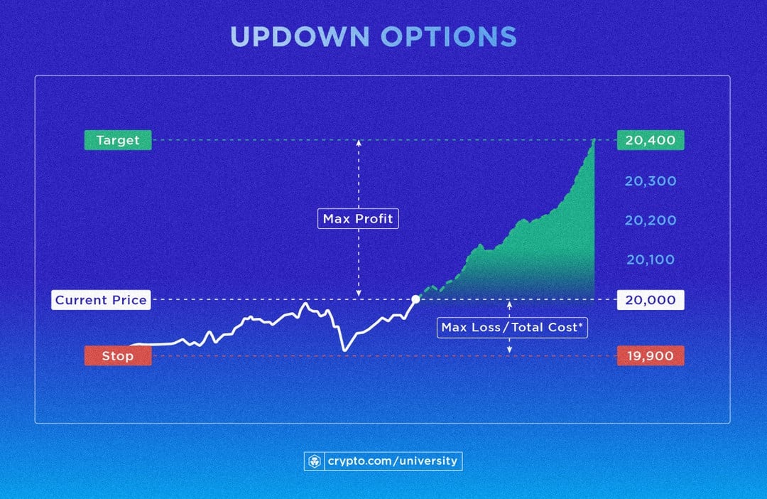 What Are UpDown Options?